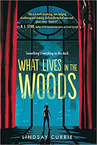 What Lives in the Woods by Lindsay&nbsp;Currie